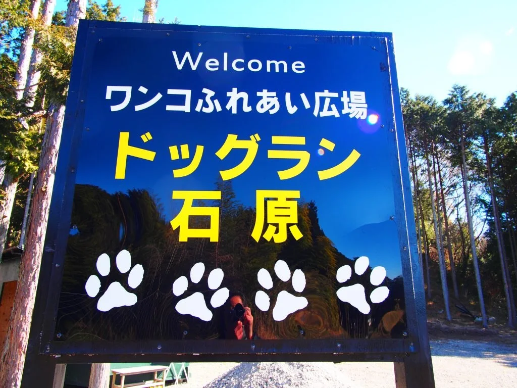 ドッグラン石原:公式サイト掲載写真