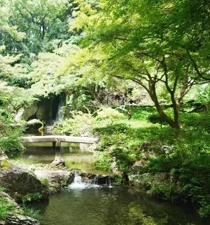 浜松城公園:浜松城公園 庭園画像