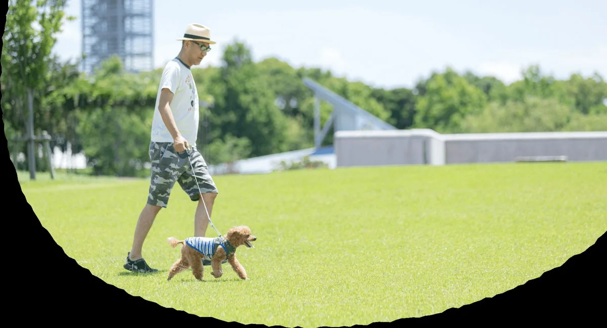 浜名湖パルパル:公式サイト掲載写真