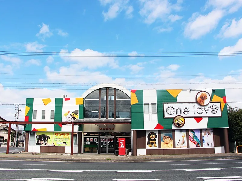 ワンラブ 浜松本店:浜松本店