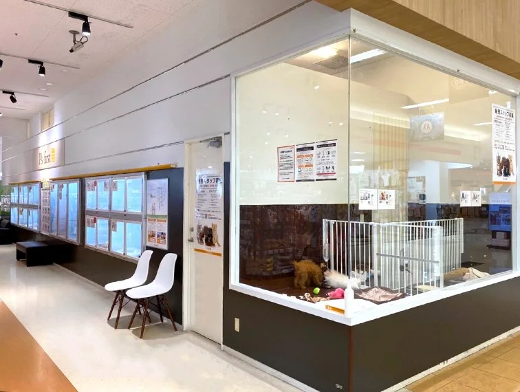 ペッツファースト 富士南店:公式サイト掲載写真