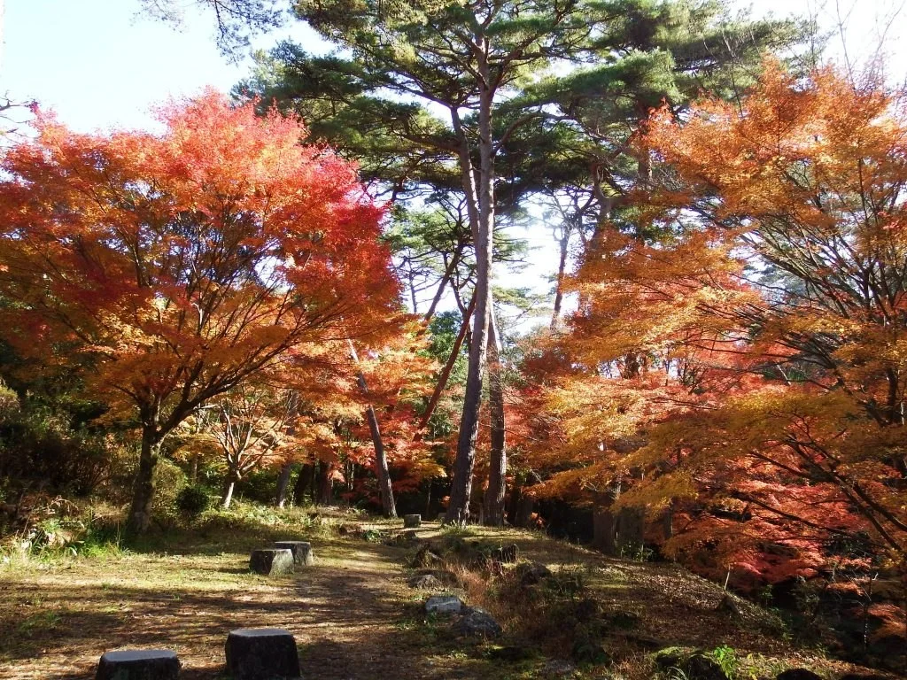 静岡県立森林公園:公式サイト掲載写真