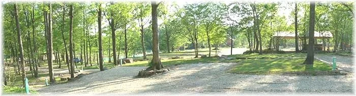 那須高原オートキャンプ場:撨恵崅尨僆乕僩僉儍儞僾応忣宨
