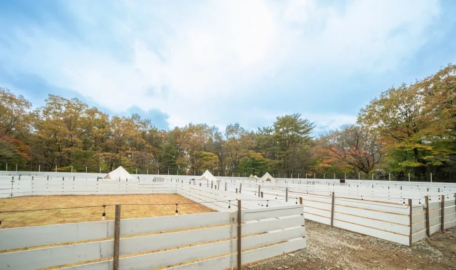 with Dogs club camp:公式サイト掲載写真