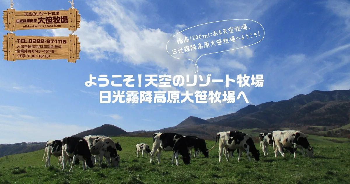 日光霧降高原 大笹牧場 ドッグラン:公式サイト掲載写真