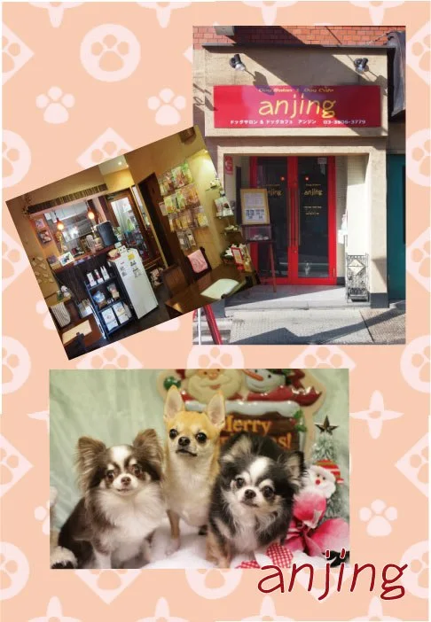 Dog Salon & Dog Cafe anjing:公式サイト掲載写真
