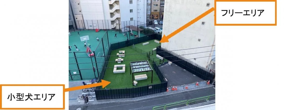 Dog Garden 〜飯田橋〜(千代田区立ドッグラン):画像:ドッグラン全景