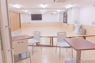 DOGLY DOGRUN(ドッグリー ドッグラン):公式サイト掲載写真