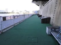 浜町公園 わんわん広場:わんわん広場の写真