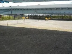 晴海臨海公園 わんわん広場:わんわん広場の写真