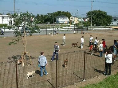 日野市営ドッグラン(駒形公園内):写真:ドッグランのようす