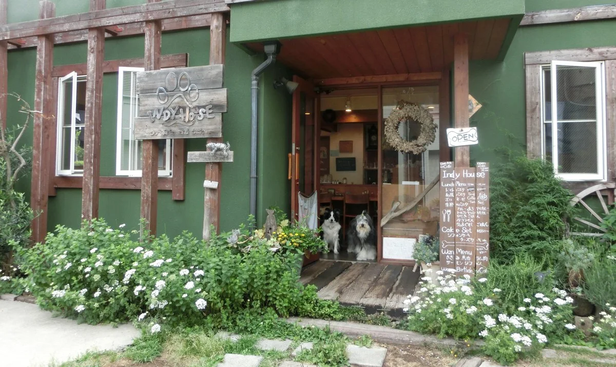 Dog arts and Cafe INDY HOUSE:公式サイト掲載写真