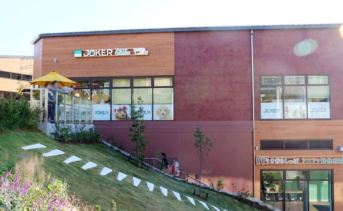 DOG&CAT JOKER 南町田グランベリーパーク店:吉祥寺店パピーラン