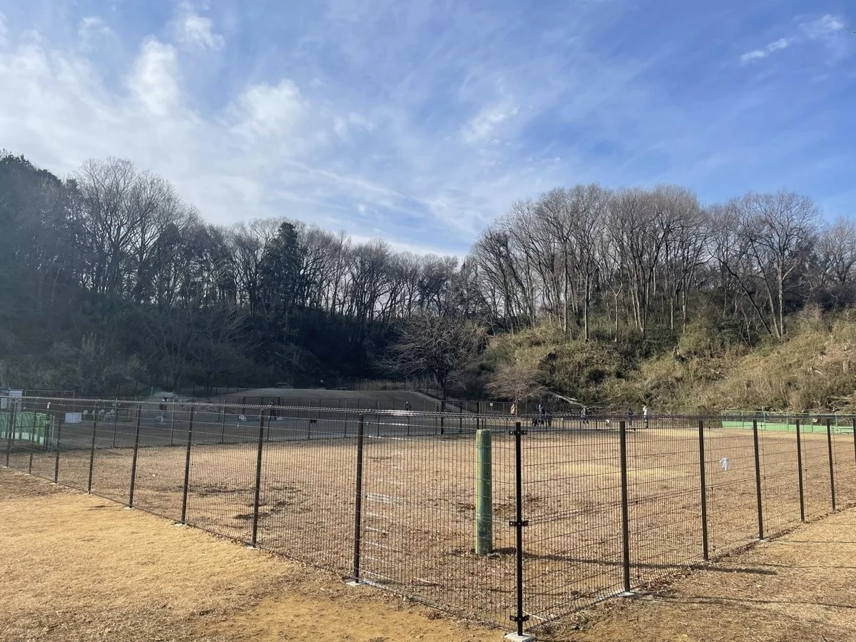 七国公園ドッグラン:ドッグランの様子