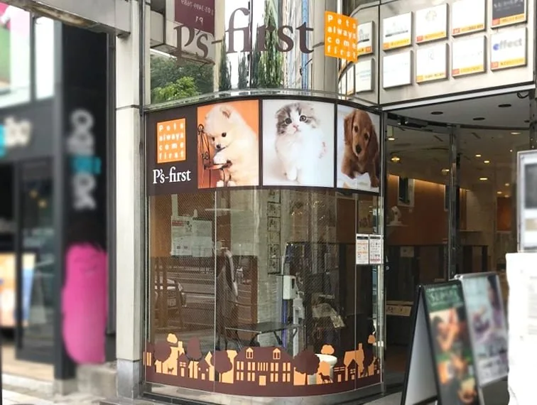 ペッツファースト 青山店:公式サイト掲載写真
