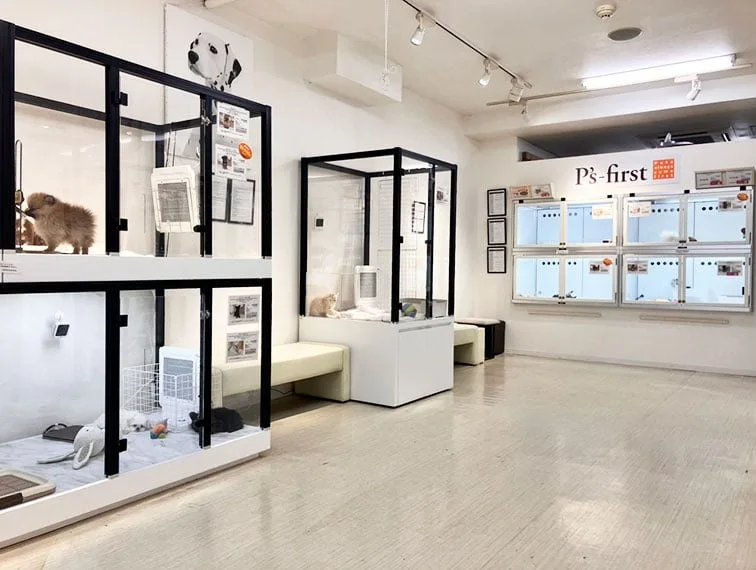 ペッツファースト 下北沢店:公式サイト掲載写真