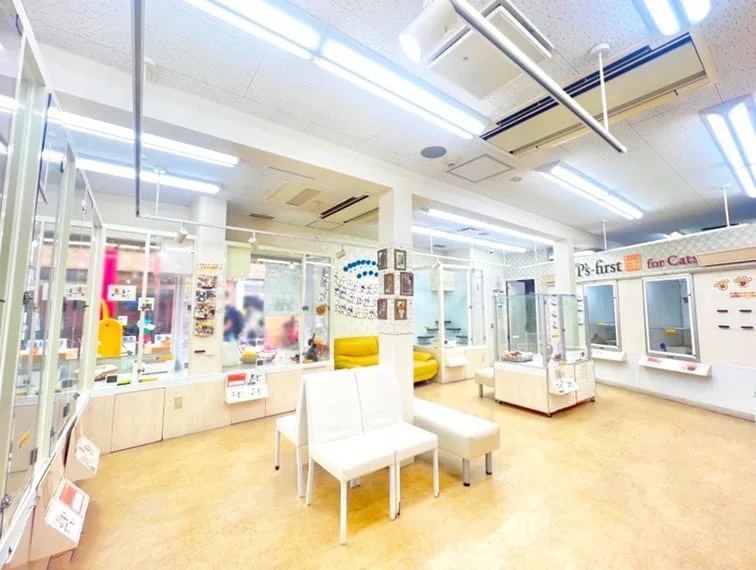 ペッツファースト 武蔵小山店:公式サイト掲載写真