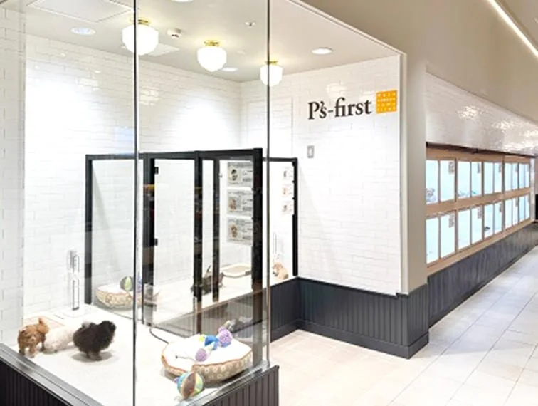 ペッツファースト 豊洲店:公式サイト掲載写真