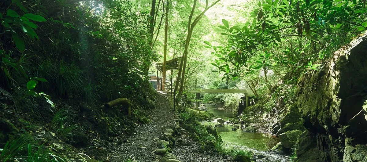 自然人村:自然人村の風景