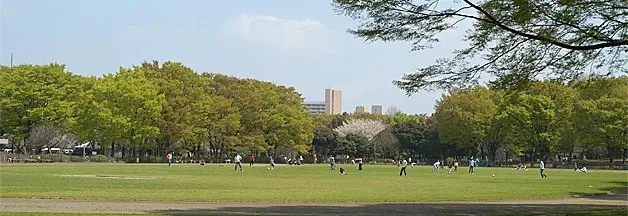 赤塚公園:公園風景