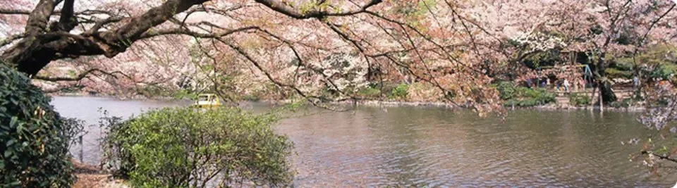 井の頭恩賜公園:井の頭恩賜公園