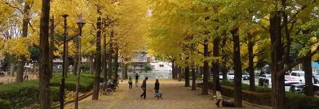 城北中央公園:公園風景