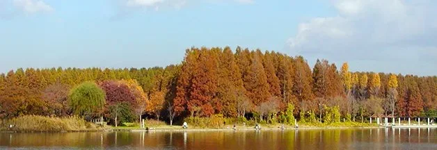 水元公園:水元公園メイン画像