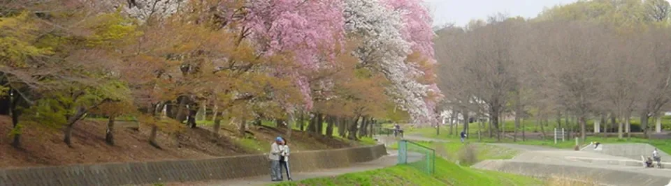 武蔵野公園:公園風景