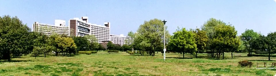 中川公園:公園風景
