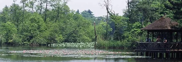 石神井公園:石神公園