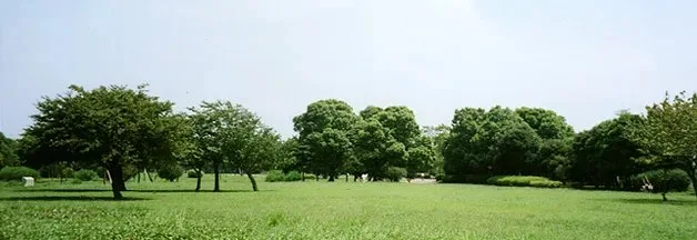 篠崎公園:篠崎公園メイン画像