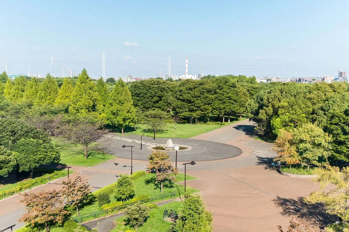舎人公園:舎人公園-夏秋01-2020