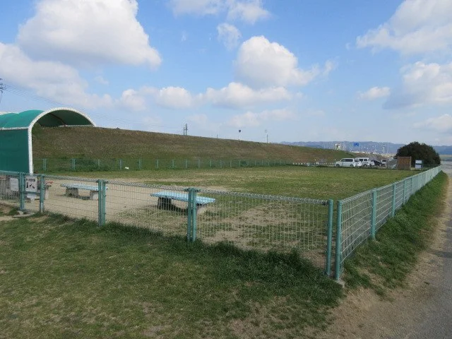 紀の川第1緑地（ドッグラン）：紀の川第1緑地（ドッグラン）