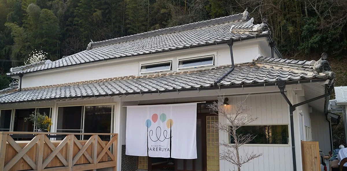 Animal Resort HARERUYA:公式サイト掲載写真