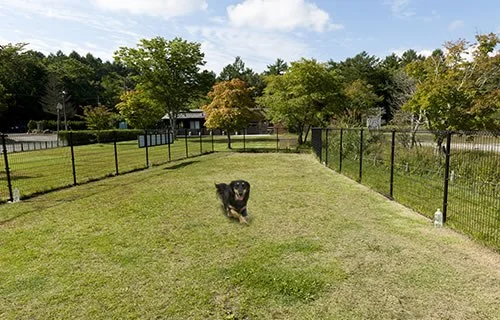 クラフトの里 ダラスヴィレッジ:山中湖で体験や観光、ダラスヴィレッジのドッグラン