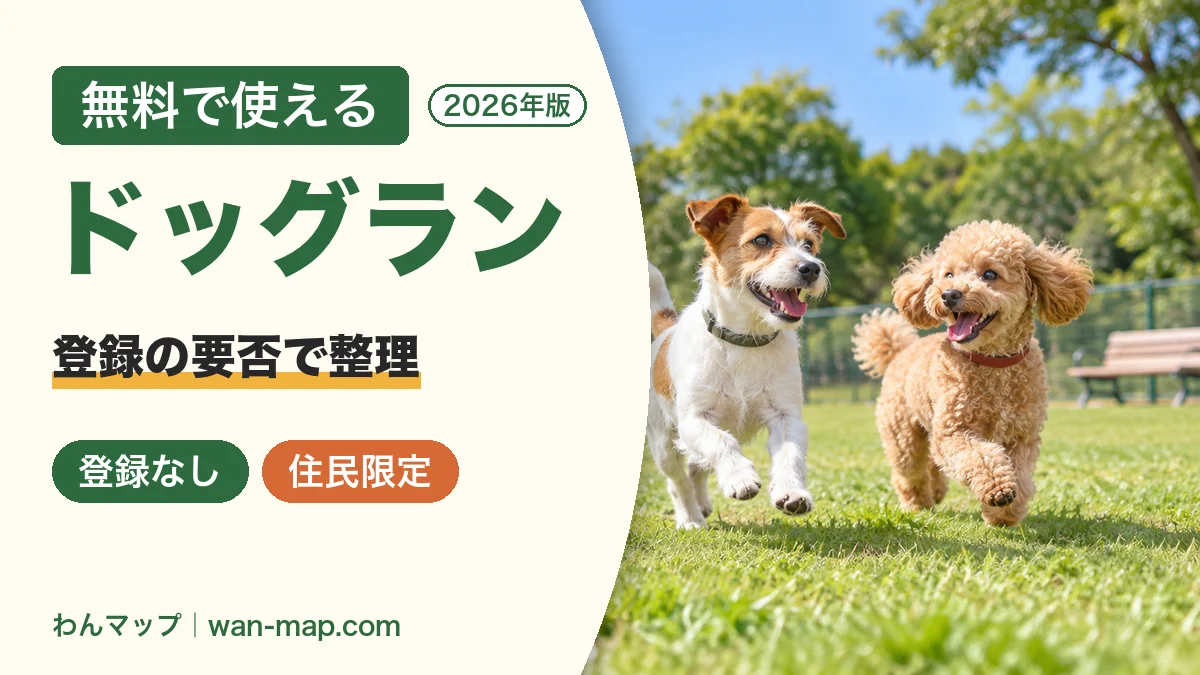 公園内の公営ドッグランを走るジャック・ラッセル・テリアとトイプードル
