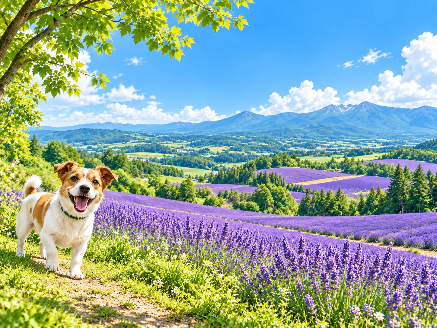 丘のラベンダー畑と山並みと愛犬のイラスト(イメージ)